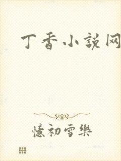 丁香小说网