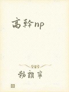 高干np
