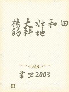 杨大壮和田桂花的耕地