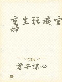 重生玩遍官场贵妇