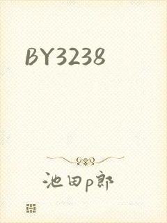 BY3238