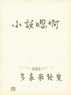 小说嗯啊
