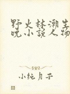 野火林潮生林晚晚小说人物野火