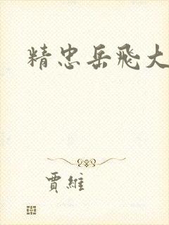 精忠岳飞大结局