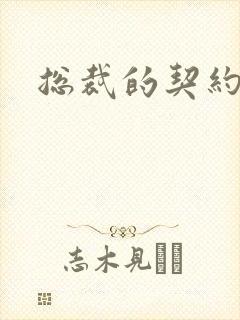 总裁的契约情人