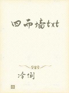 四面墙txt