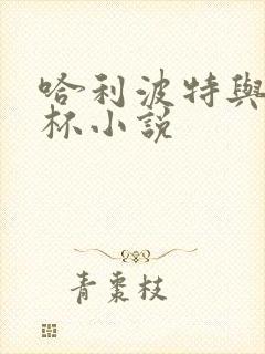 哈利波特与火焰杯小说