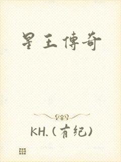 星王传奇