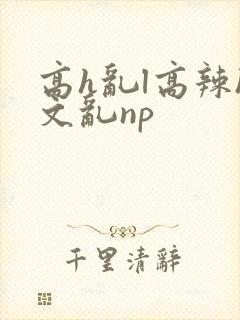 高h乱l高辣h文乱np