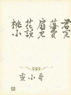 桃花扇落君不还小说免费完整版