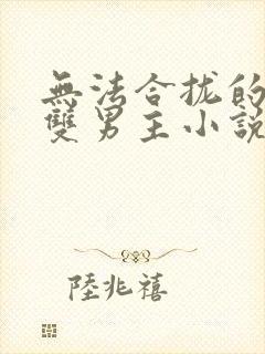 无法合拢的总裁双男主小说