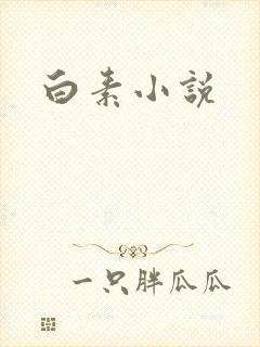 白素小说