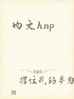 肉文hnp
