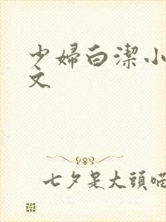 少妇白洁小说全文