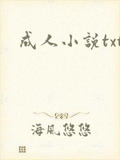 成人小说txt