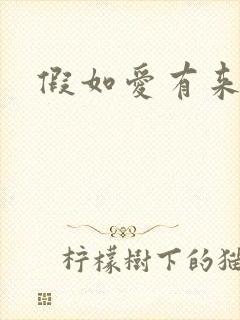 假如爱有来生