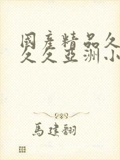 国产精品久久久久久亚洲小说