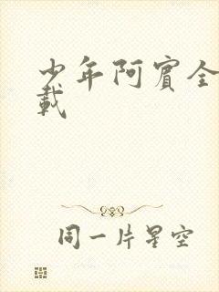 少年阿宾全集下载