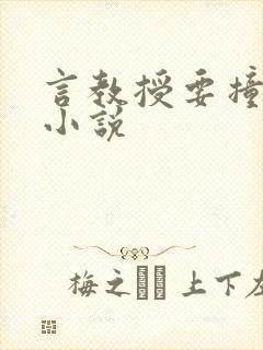 言教授要撞坏了小说