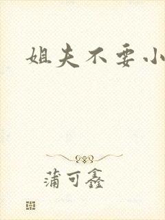 姐夫不要小说