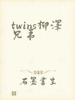 twins柳泽兄弟