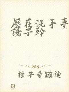 压在洗手台看着镜子干