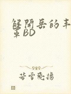 解开岳的丰满奶罩BD