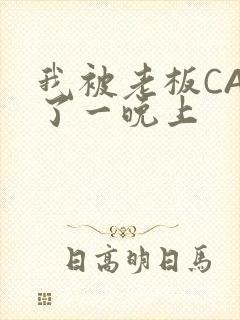 我被老板CAO了一晚上