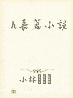 h长篇小说