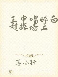 王申喝醉白洁被赵振墙上