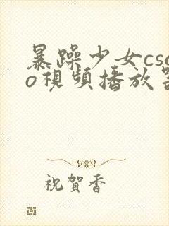 暴躁少女csgo视频播放器推荐