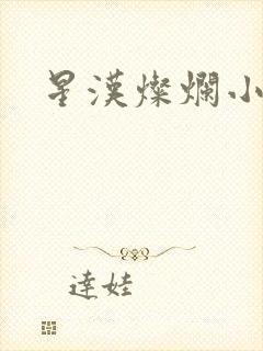 星汉灿烂小说