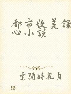 都市收美录宁素心小说