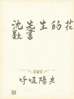 沈先生的花式调数书