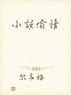 小说偷情
