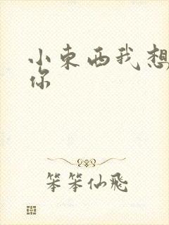 小东西我想弄坏你