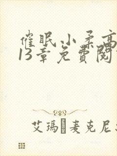 催眠小柔高达第13章免费阅读