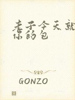 老子今天就要开你的包