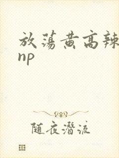 放荡黄高辣h文np
