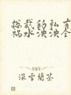 总裁的私有宝贝祸水泱泱全文阅读