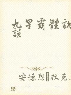九星霸体诀 小说