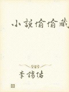 小说偷偷藏不住