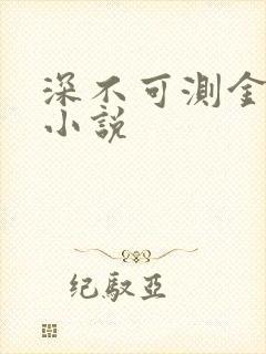 深不可测金银花小说