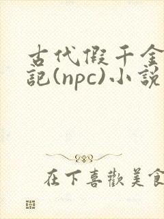 古代假千金挨日记(npc)小说
