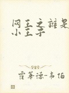 网王之谁是我的小王子