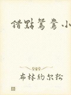 错点鸳鸯小说