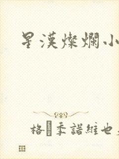星汉灿烂小说