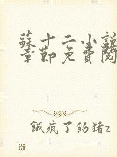 苏十二小说最新章节免费阅读下载