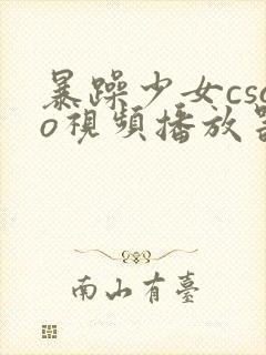 暴躁少女csgo视频播放器推荐