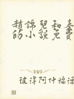 赵锦儿和秦慕修的小说免费阅读全文